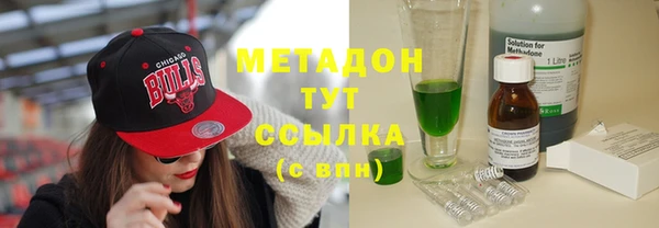индика Алзамай