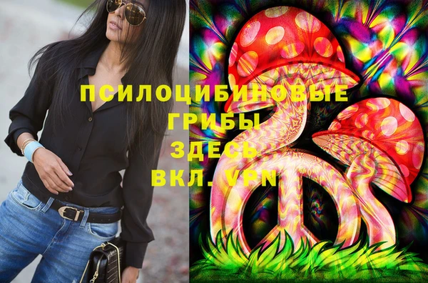 ГАЛЛЮЦИНОГЕННЫЕ ГРИБЫ Алексеевка