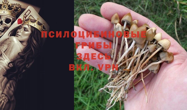 индика Алзамай