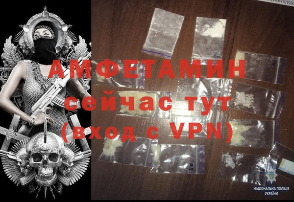 индика Алзамай